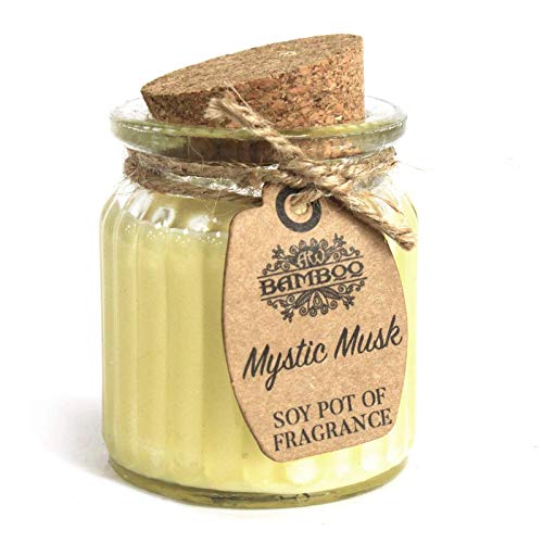 210119-SOY-MOSCHUS