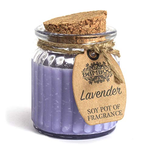 Soj_Drop_Lavendel